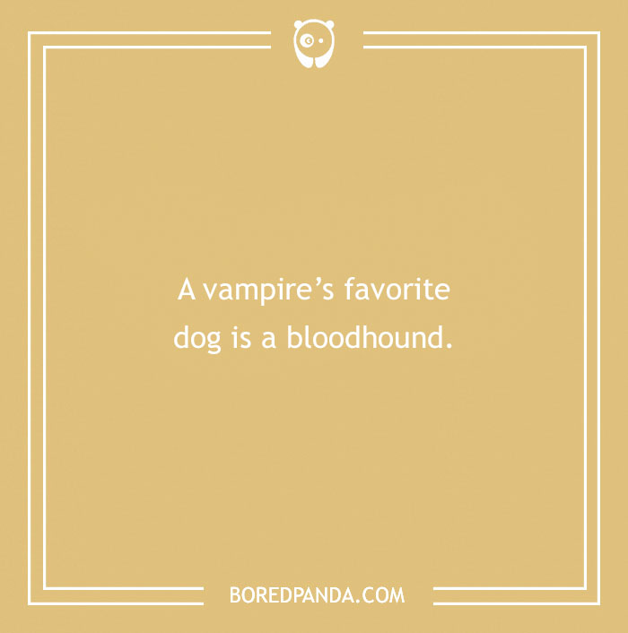 197 Funny Dog Puns to Honor the Pup-arazzi Worthy Furballs