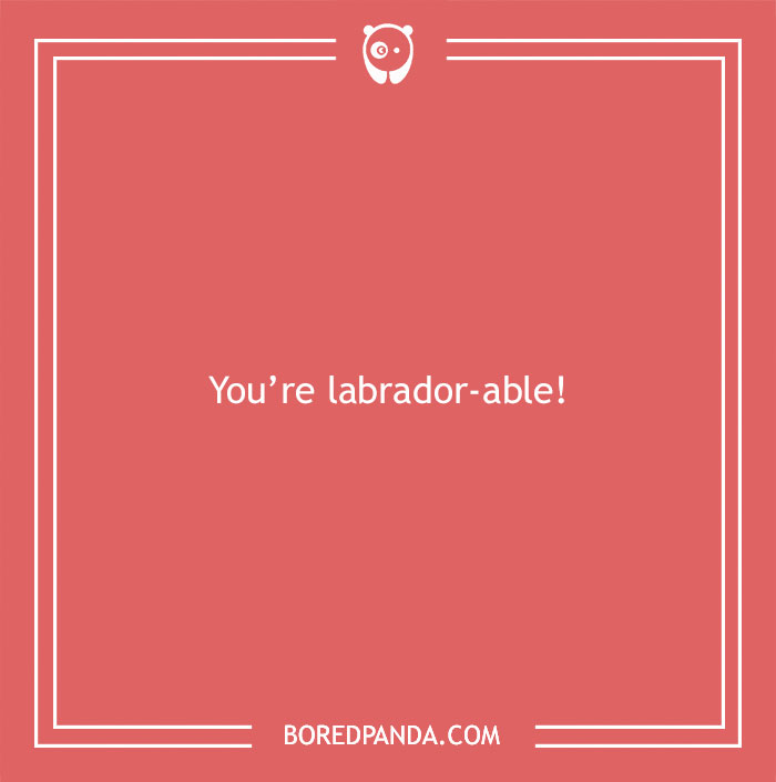 197 Funny Dog Puns to Honor the Pup-arazzi Worthy Furballs