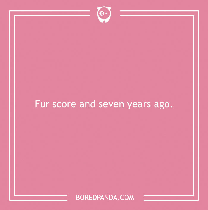 197 Funny Dog Puns to Honor the Pup-arazzi Worthy Furballs