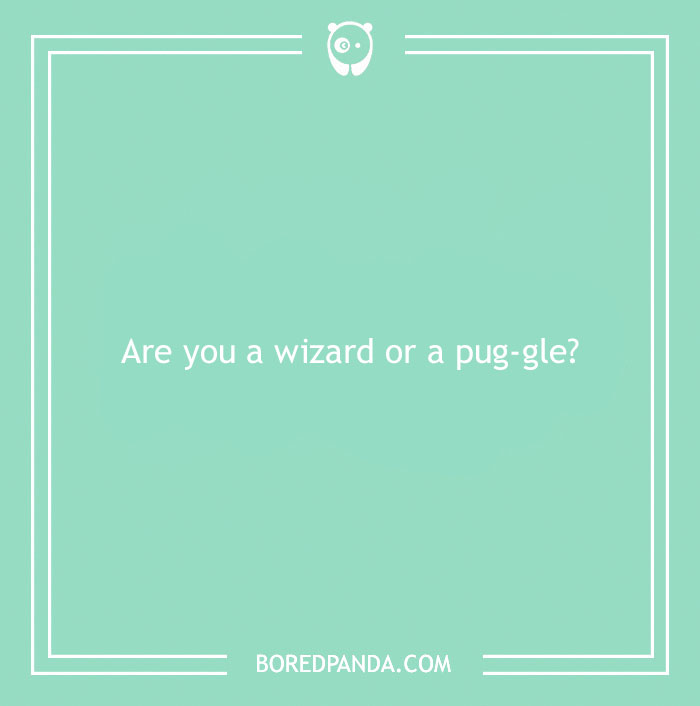 197 Funny Dog Puns to Honor the Pup-arazzi Worthy Furballs