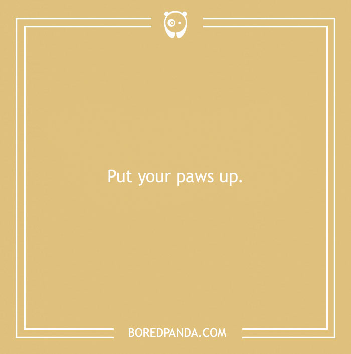 197 Funny Dog Puns to Honor the Pup-arazzi Worthy Furballs