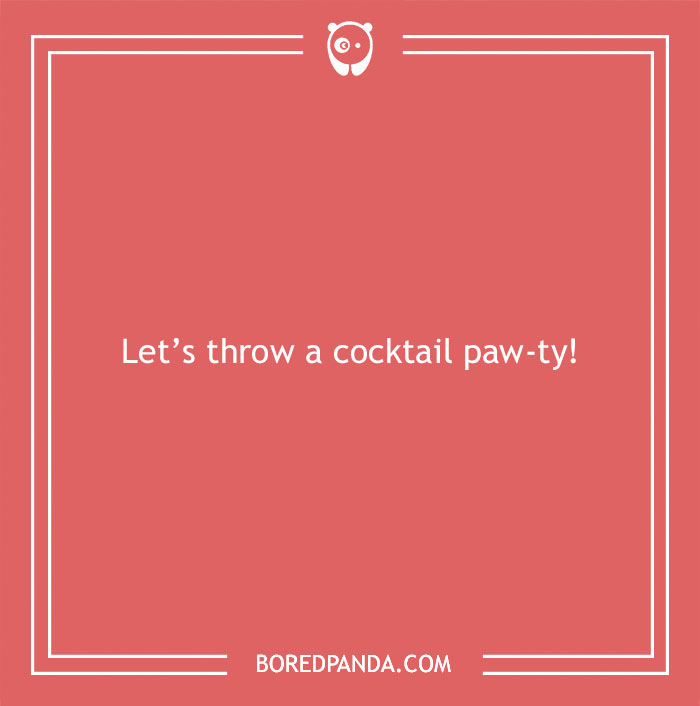 197 Funny Dog Puns to Honor the Pup-arazzi Worthy Furballs