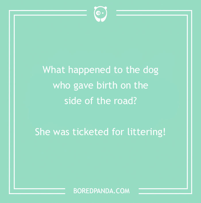 197 Funny Dog Puns to Honor the Pup-arazzi Worthy Furballs