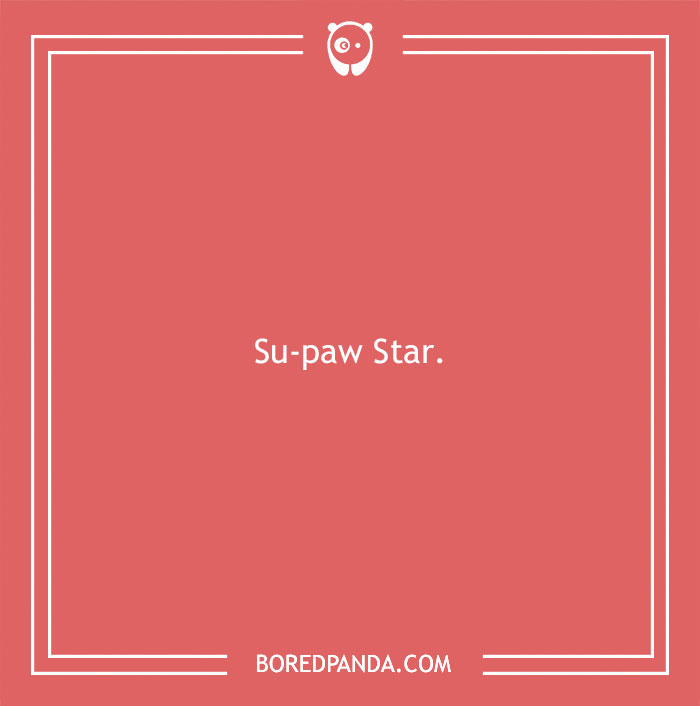 197 Funny Dog Puns to Honor the Pup-arazzi Worthy Furballs