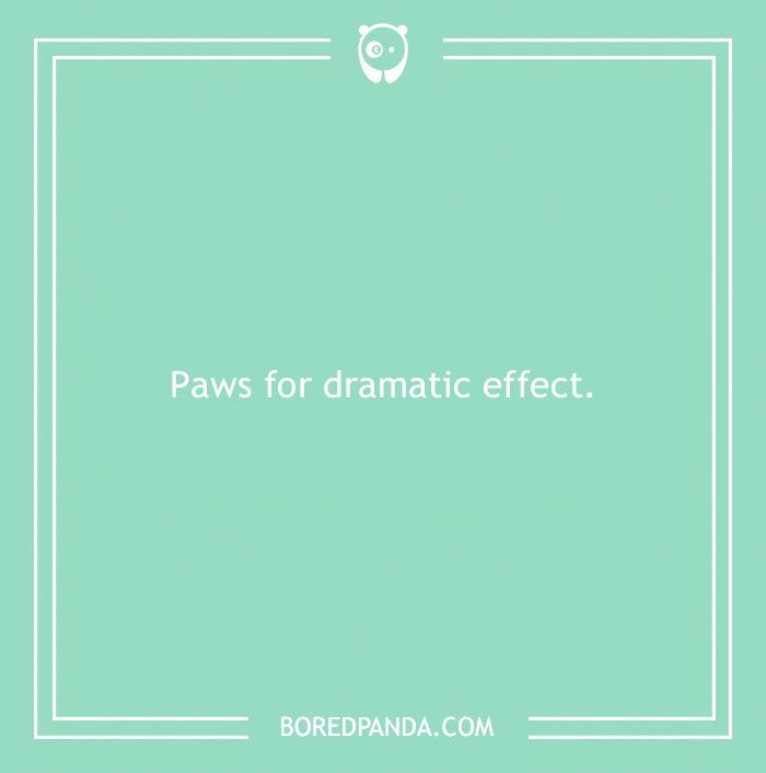 197 Funny Dog Puns to Honor the Pup-arazzi Worthy Furballs