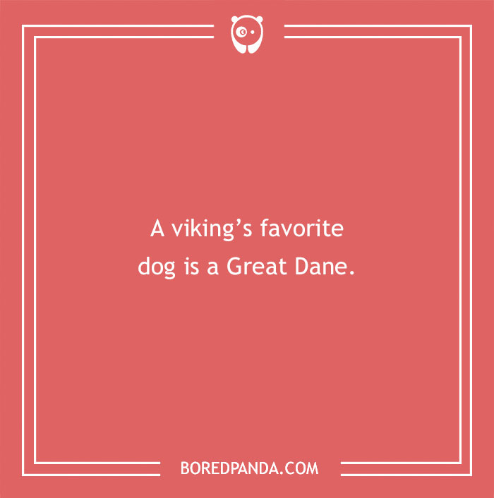 197 Funny Dog Puns to Honor the Pup-arazzi Worthy Furballs