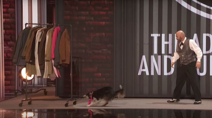 &ldquo;I&rsquo;ve Never Seen Anything Like It&rdquo;: Dog Wins America&rsquo;s Got Talent For The First Time Since 2012