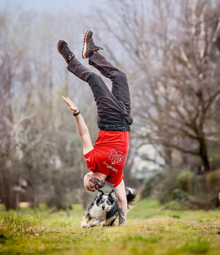 &ldquo;I&rsquo;ve Never Seen Anything Like It&rdquo;: Dog Wins America&rsquo;s Got Talent For The First Time Since 2012