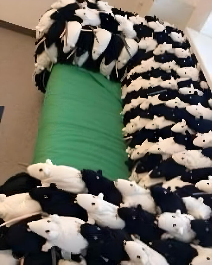 Funny-Cursed-Aesthetic-Pictures