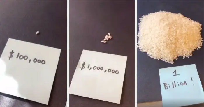 Comparison of rice grains and a pile illustrating the wealth gap between billionaires and others.