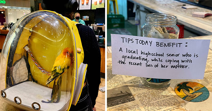 50 Times People Found Something So ‘Mildly Interesting’, They Just Had To Share It In This Group (New Pics)