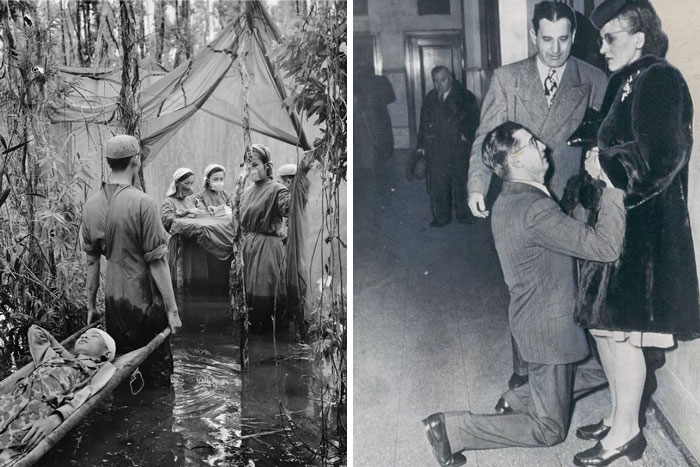 50 Of The Most ‘Fascinating’ Facts, As Shared By This X (Twitter) Account