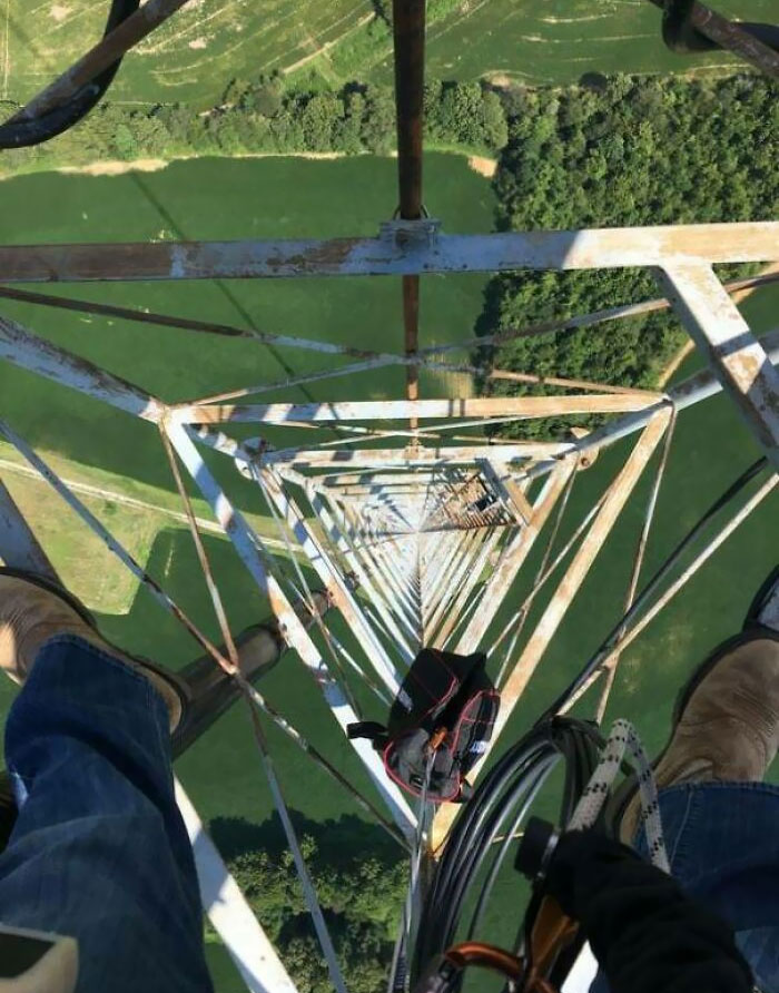 Nobody Could Ever Force Me To Climb Up There