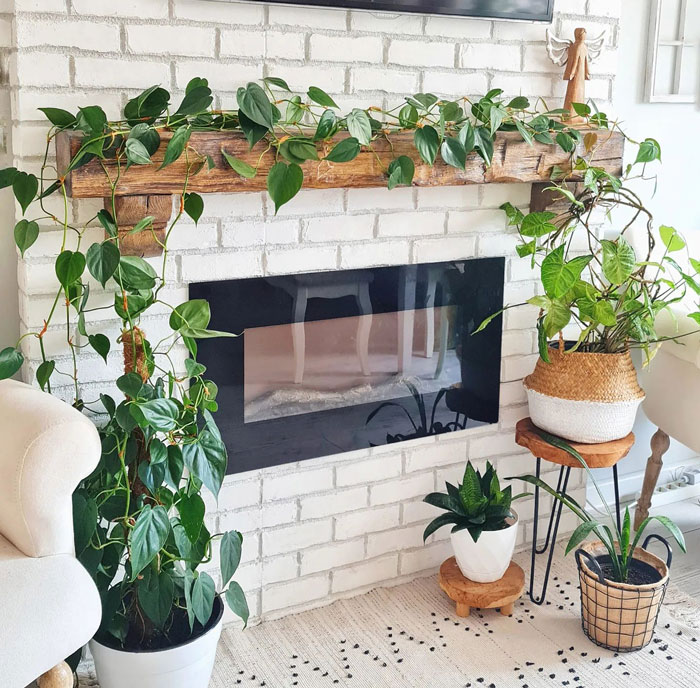 White brick fireplace with wooden mantel adorned with lush vine plants creating a cozy and natural fireplace mantel idea.