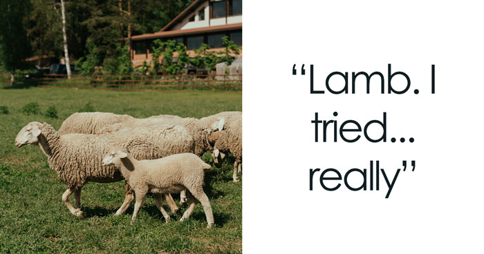 People Online Really Tried These 30 Foods And Drinks Before Knocking Them, But Can’t Stand Them