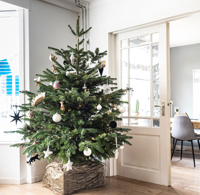 Decorated Christmas tree in the corner 