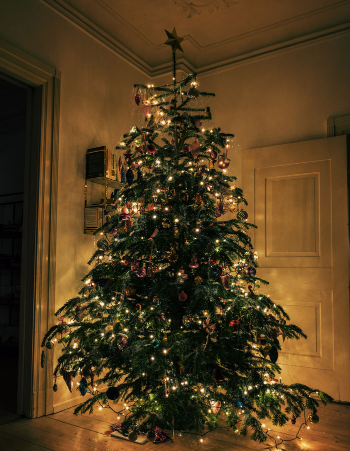 A lit Christmas tree in the corner 