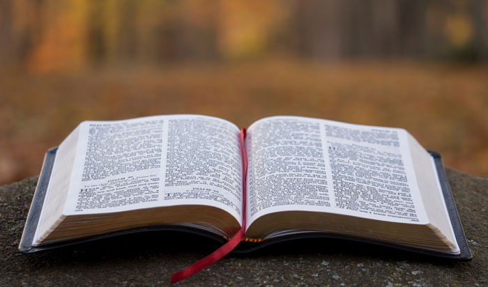 Opened bible on the stone 