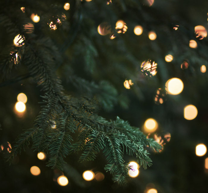 Green Christmas tree with string lights 