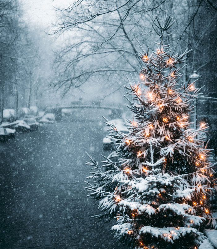 Christmas tree covered in snow 