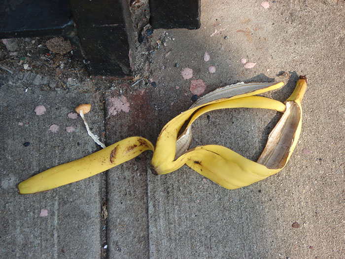 35 People Share The Most Bizarre Situations They've Witnessed That Felt Like They Were Scripted