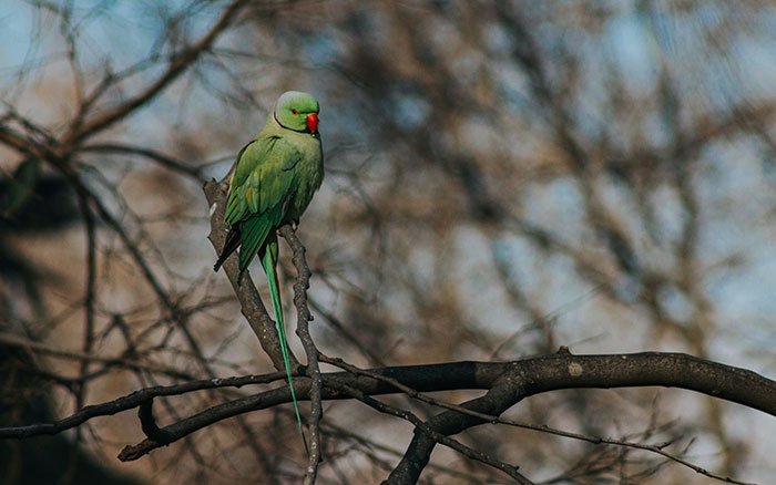 35 People Share The Most Bizarre Situations They've Witnessed That Felt Like They Were Scripted