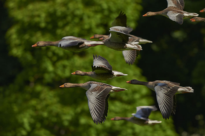 35 People Share The Most Bizarre Situations They've Witnessed That Felt Like They Were Scripted