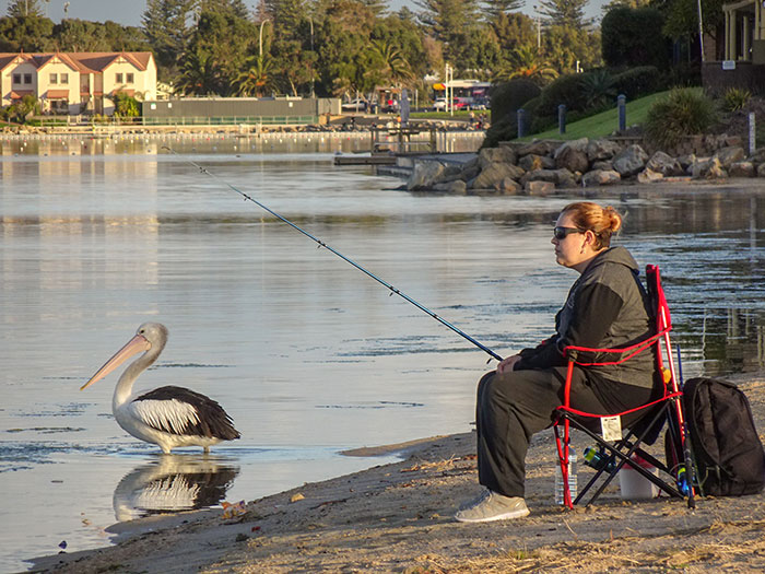 35 People Share The Most Bizarre Situations They've Witnessed That Felt Like They Were Scripted