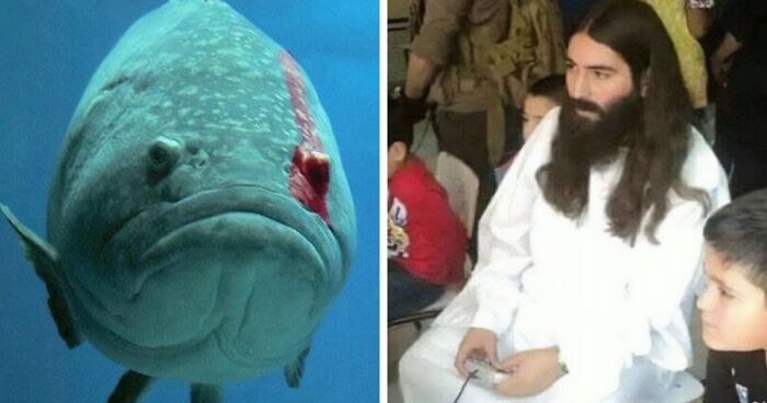 50 Epic Moments When People Spotted Someone Or Something Reach ‘Boss’ Level (New Pics)