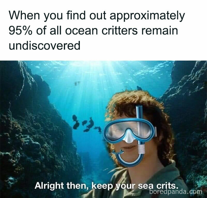Middle Earth meme featuring scuba diver underwater, humorously embracing undiscovered ocean critters.