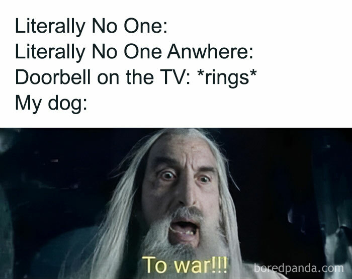 Middle Earth meme with intense character reaction captioned "To war!" after TV doorbell rings.