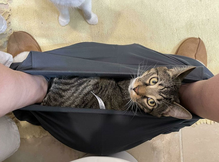 What Is Personal Space And Privacy Anymore