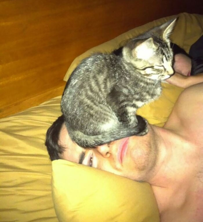 Yes, This Is Quite Comfortable. I Shall Sit Here