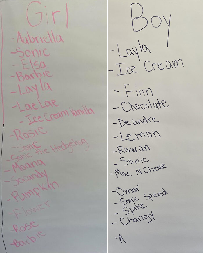 I’m A Pre-K Teacher And Asked My Students For Name Suggestions. They Did Not Disappoint
