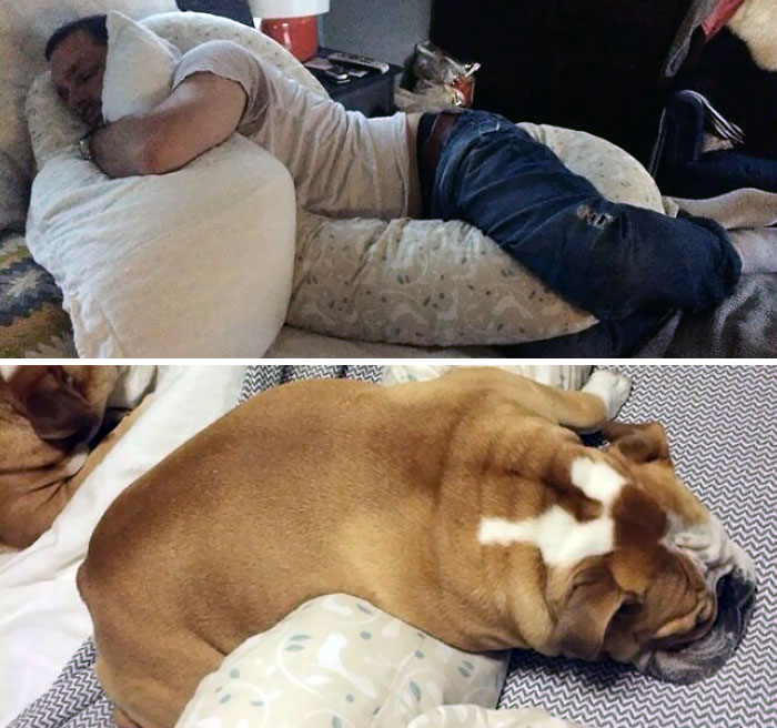 Subjects Pictured Are Not Pregnant, Give Me Back My Damn Pillow