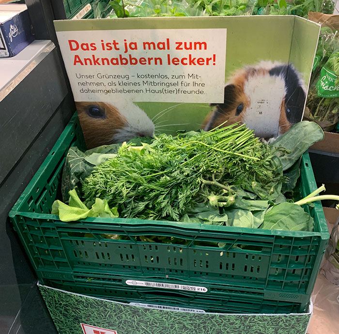 Free Vegetable Leaves For Pets In My Local Supermarket