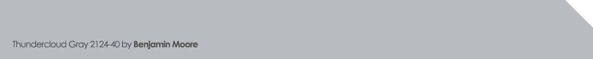 Thundercloud Gray 2124-40 by Benjamin Moore