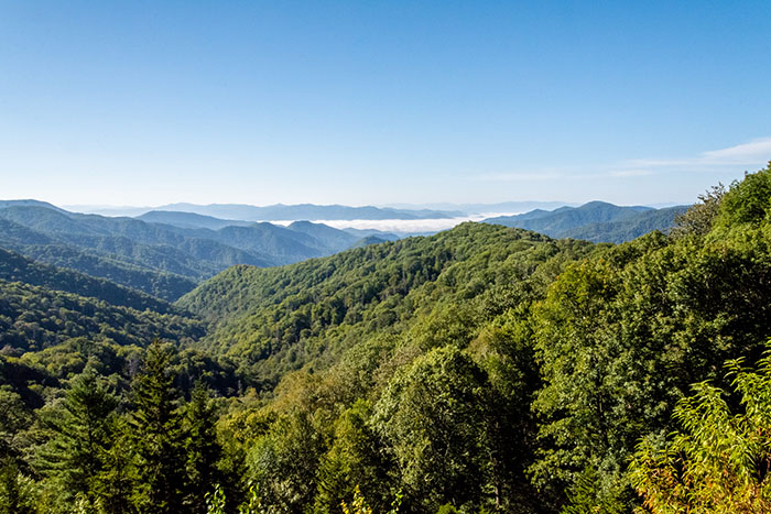 15 Of The Worst Tourist Attractions Across The World, According To People's Votes