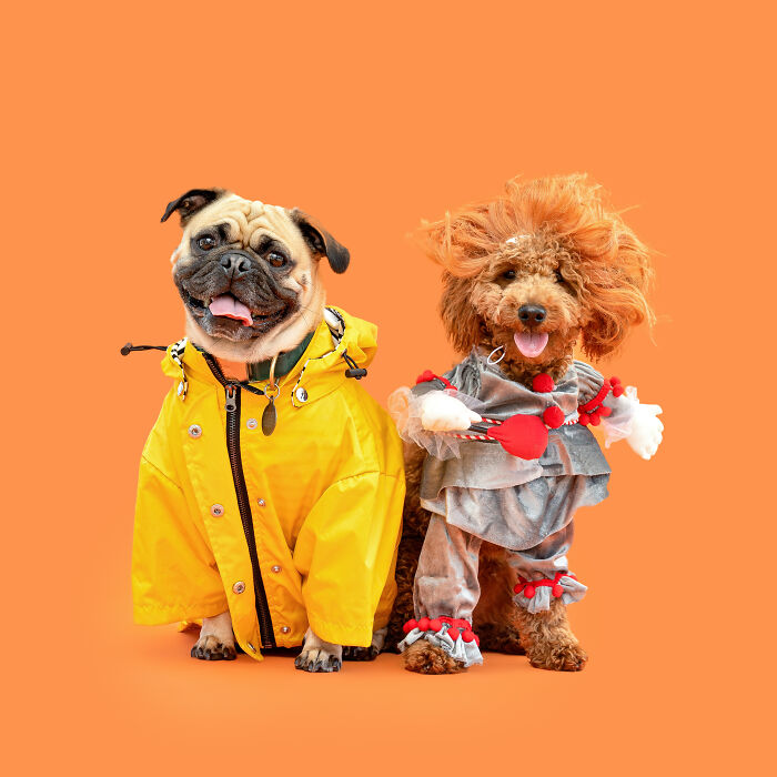 Georgie And Pennywise