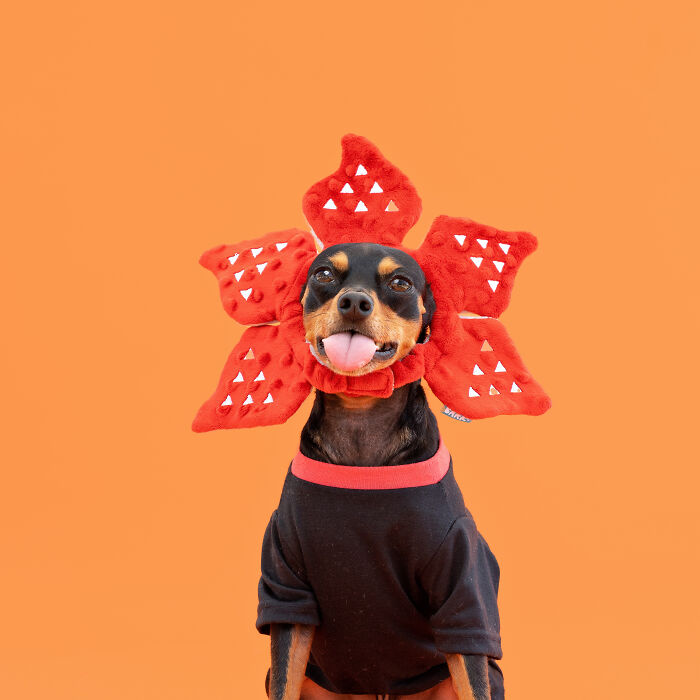 Demogorgon From Stranger Things