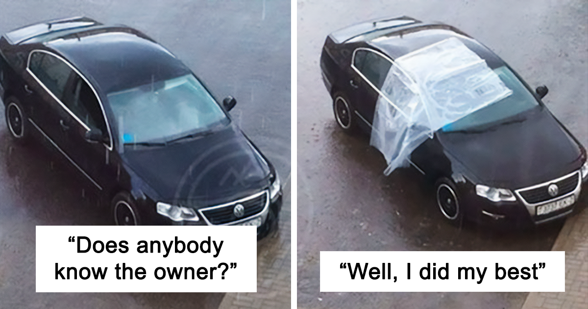 49 Wholesome Posts To Remind You There’s Good In The World