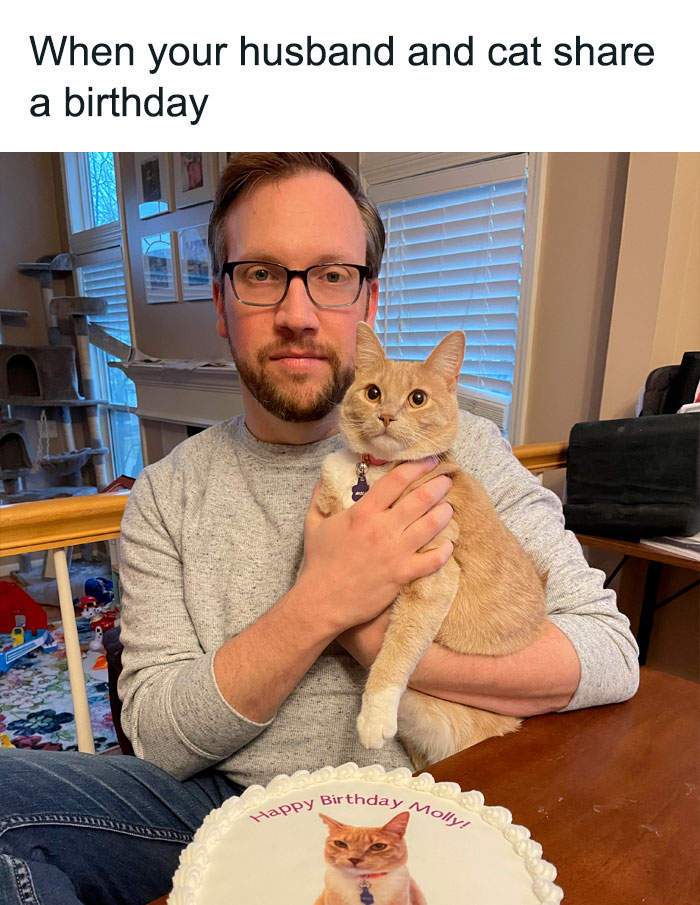 Hilarious-Cat-Jokes-Memes