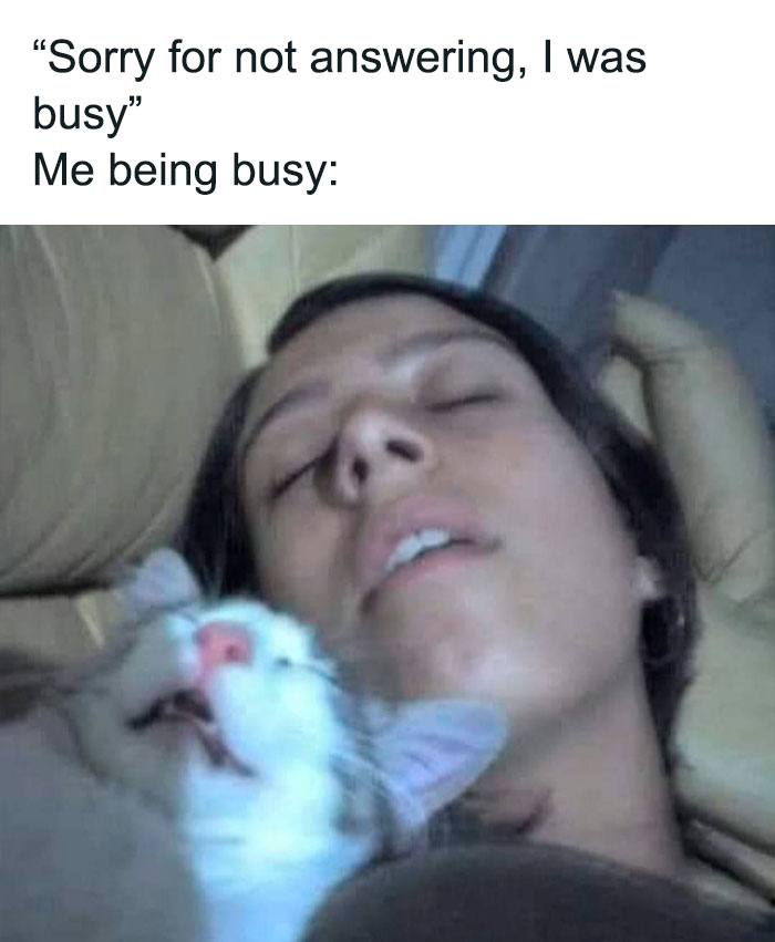 Hilarious-Cat-Jokes-Memes