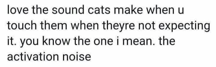 Hilarious-Cat-Jokes-Memes