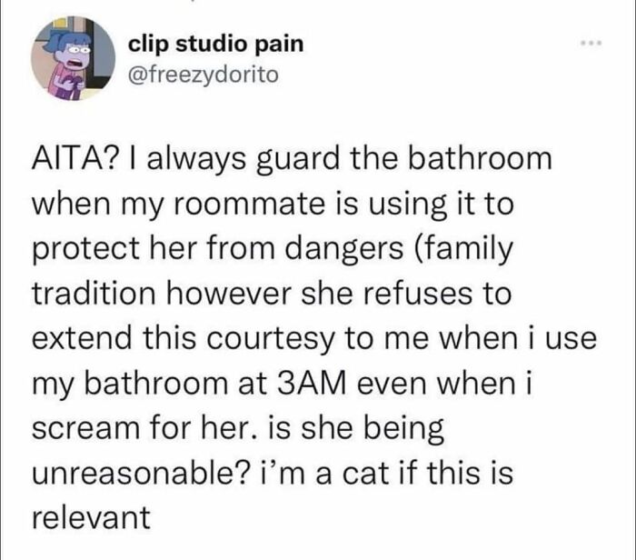 Hilarious-Cat-Jokes-Memes