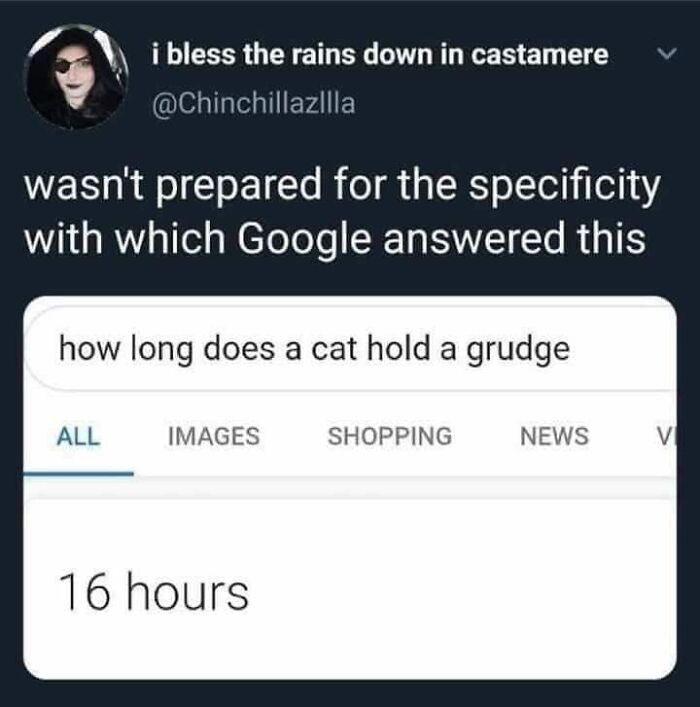 Hilarious-Cat-Jokes-Memes