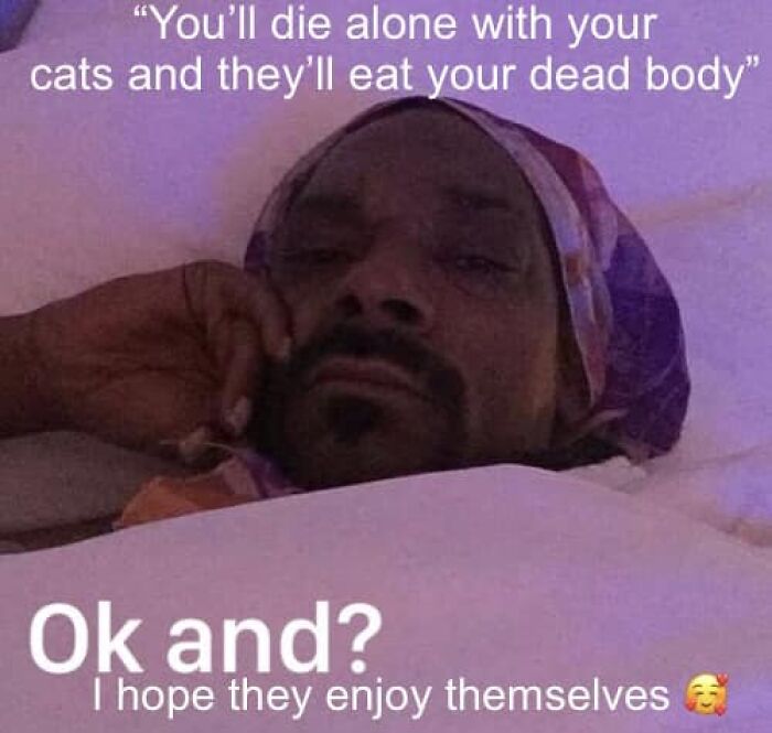 Hilarious-Cat-Jokes-Memes