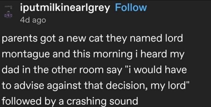 Hilarious-Cat-Jokes-Memes