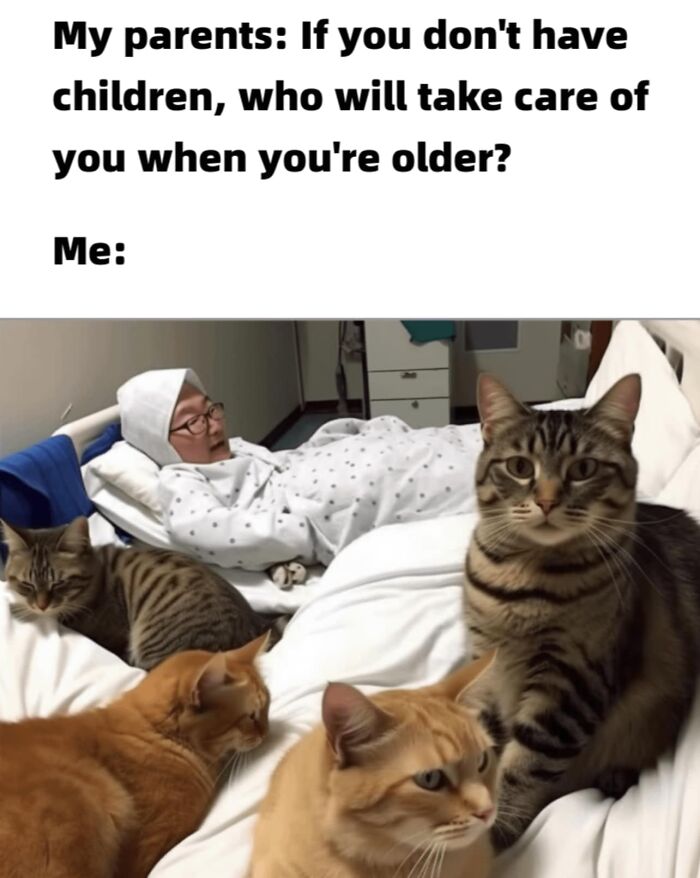 Hilarious-Cat-Jokes-Memes