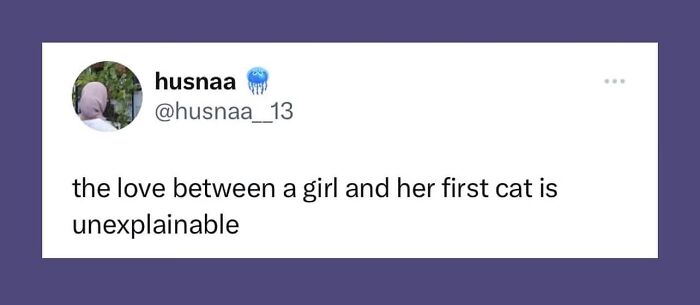 Hilarious-Cat-Jokes-Memes